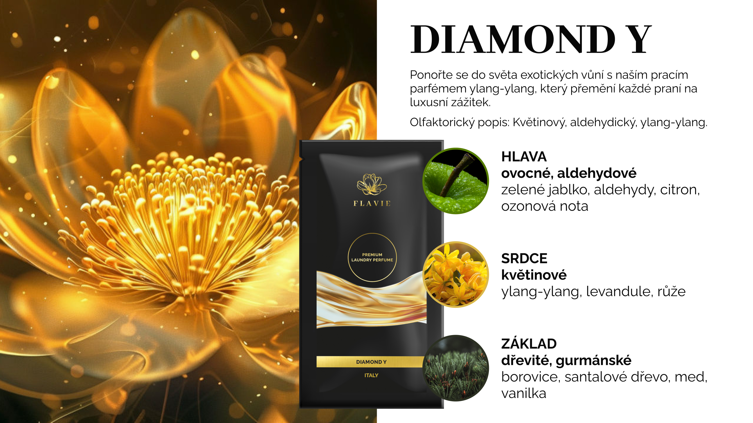 Diamond Y_SK